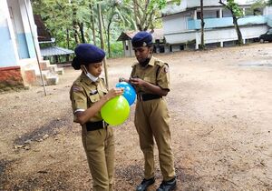 BS21 TVM 42031 2.jpg