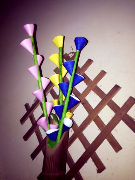 പ്രമാണം:GOURI M.R.jpg