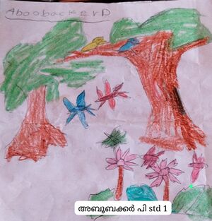 19613 MLP Mhammed Aboobacker.jpg