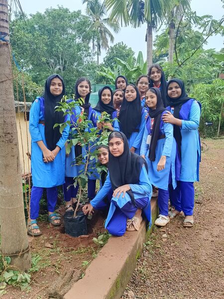 പ്രമാണം:19866-MLP-ENVIRONMENT-2026.jpg