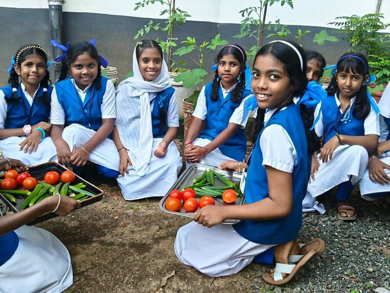 പ്രമാണം:24049 farming.jpg