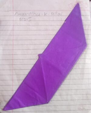 29358-IDK-KUNJ-AMARNATHU K PILLAI.jpg