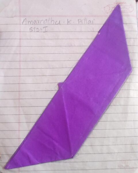 പ്രമാണം:29358-IDK-KUNJ-AMARNATHU K PILLAI.jpg