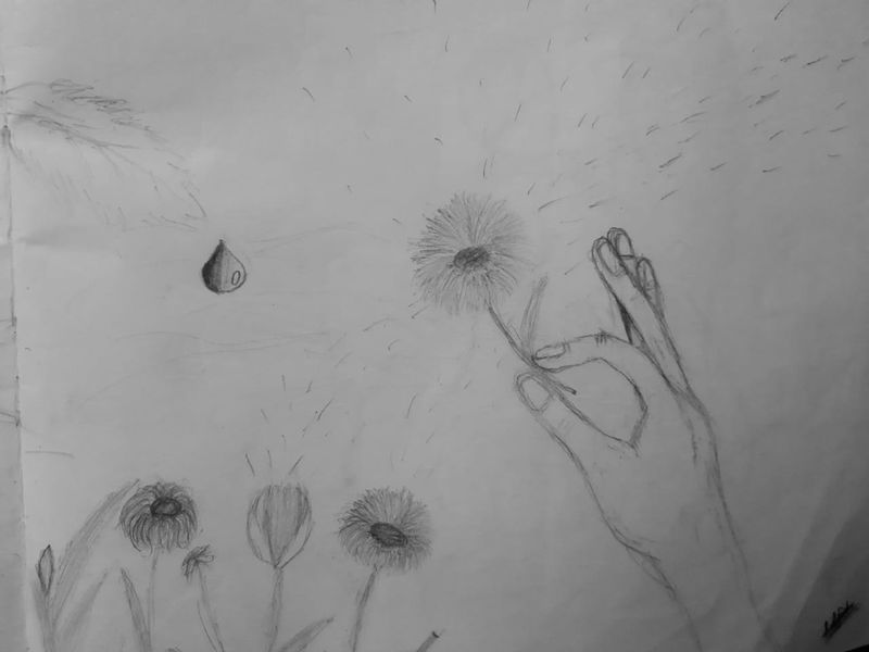 പ്രമാണം:30014 AMISHA AJESH 1.jpg