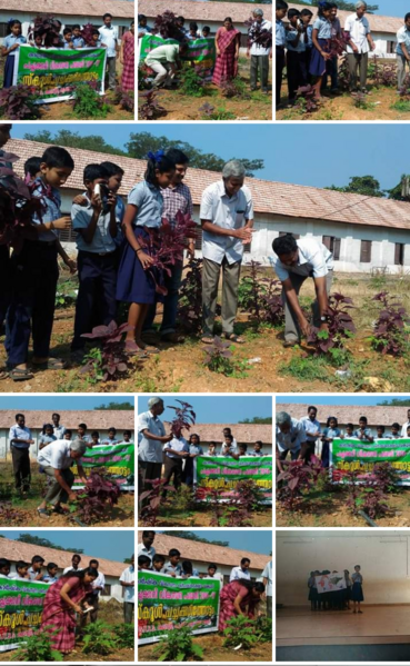 പ്രമാണം:34006 agri 1.png