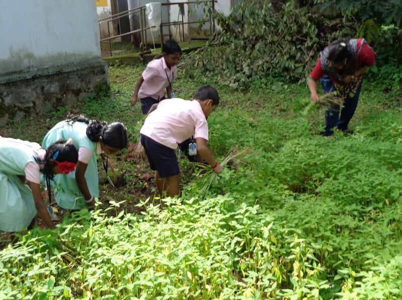 പ്രമാണം:38306 thatta 2.jpeg