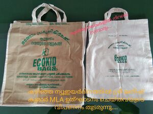 Ecokid Economy Bags.jpeg