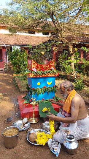 11007 Thulasipooje22 1.jpeg