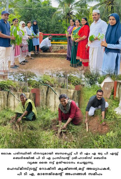 പ്രമാണം:11469 NATUREE.jpg