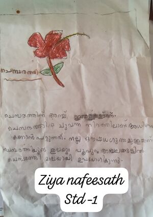 13928-KNR-KUNJ-ZIYA NAFEESATH.jpg