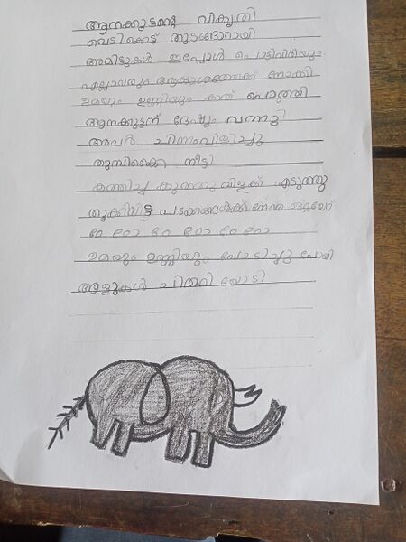 പ്രമാണം:15231-WYD-KUNJ-AYISHA MEHRIN V P.jpg