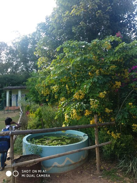 പ്രമാണം:15320 155.jpg