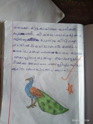 21813-PKD-KUNJ-SANHA FATHIMA.jpg