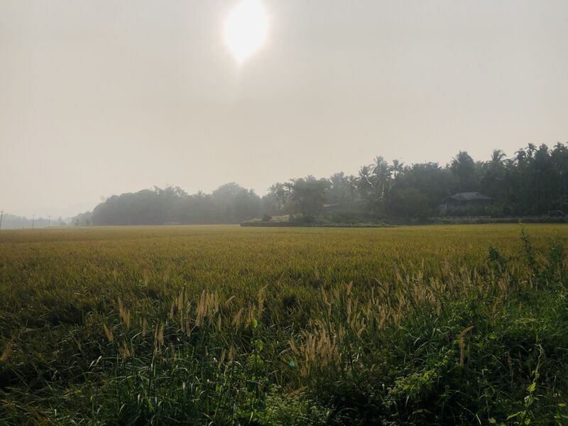 പ്രമാണം:24006 - ente gramam 1.jpg
