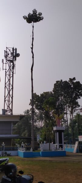 പ്രമാണം:25854 entegramam.fpost.jpg