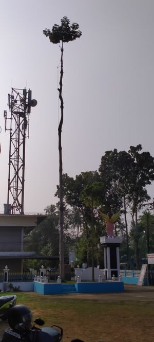 25854 entegramam.fpost.jpg