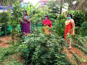 28012 SP 1920 274.jpeg