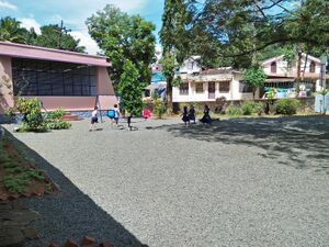 31542 swiki pala saups 2.jpg