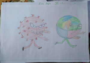 32005-Eva Saju II C.jpg