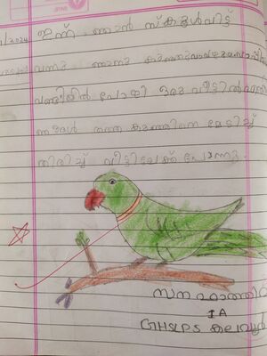 34209-ALP-KUNJ-SANA FATHIMA.jpg