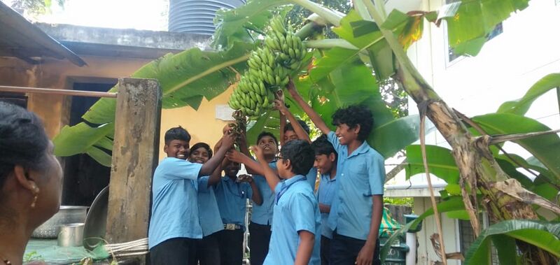 പ്രമാണം:42356 ecoclub (2).jpg