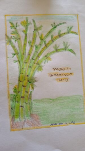46311-Bamboo.jpg
