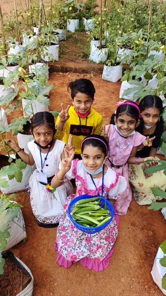 പ്രമാണം:48562 70.jpeg