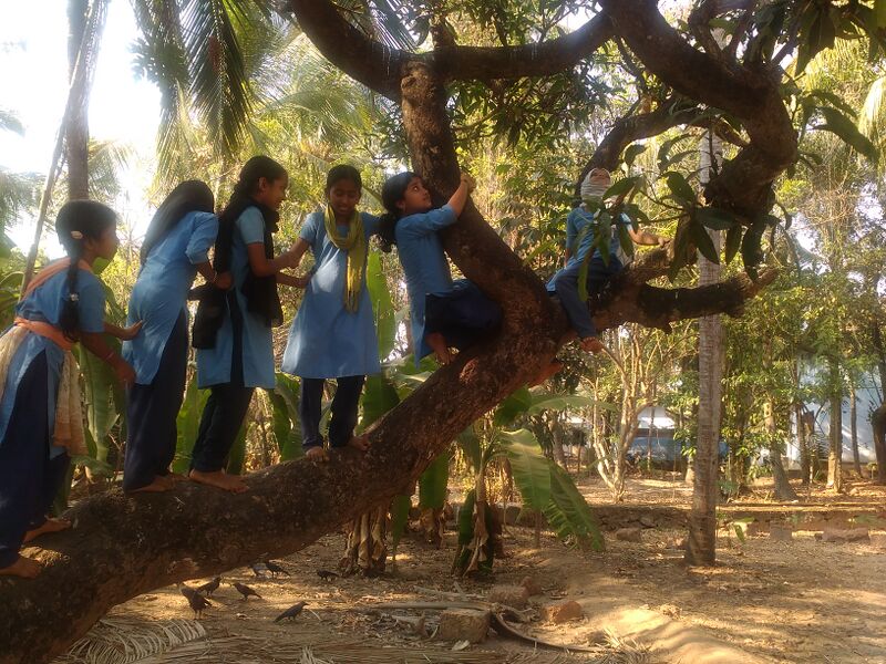 പ്രമാണം:AMPL (1).jpg