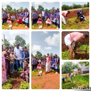 Environment day 2025-26.jpg