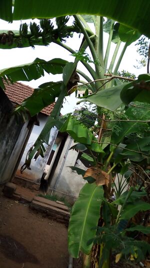 IMG 20170221 155516.jpg