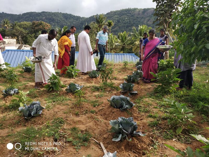 പ്രമാണം:Vegeta6 30014.jpg