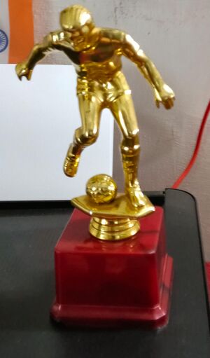 12208-KGD-GOAL2026-TROPHY FOR WINNERS-1.jpeg.jpg
