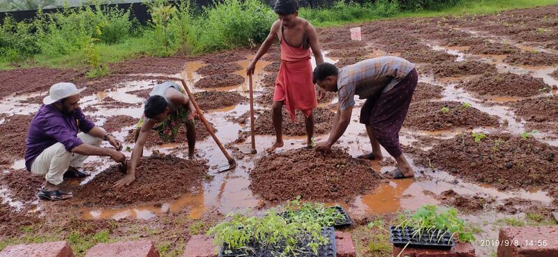 പ്രമാണം:19833 krishi22.jpg