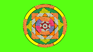 29504 idk dp 2019 1.png