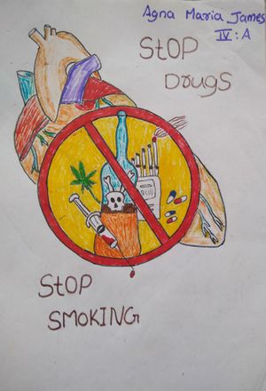 34306-Agnamaria James.jpg