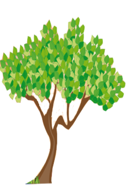 പ്രമാണം:36024 treee.png