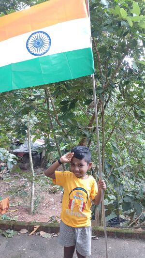 44055 Azadiflag2.jpeg