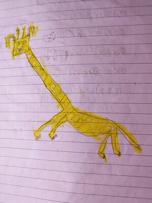 45307-Rayon Rajesh.jpg