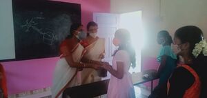 BS21 ALP 34028 1.jpg