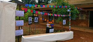 BS21 MLP 19042 3.jpg