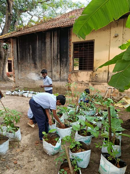 പ്രമാണം:WhatsApp Image 2022-12-15 at 09.44.50.jpg