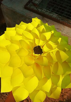 Work of Archa Nanda Suresh (2).jpg