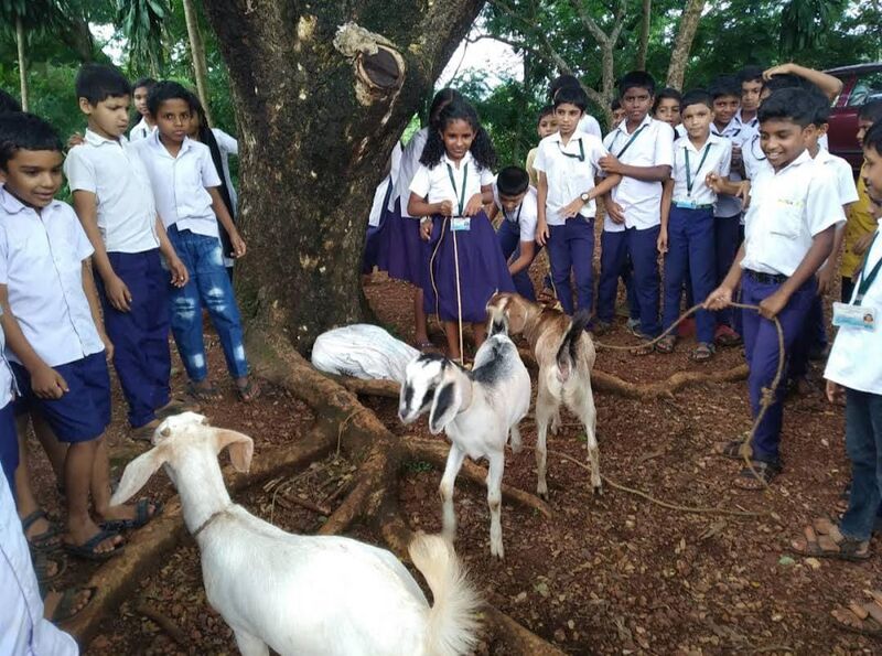 പ്രമാണം:11474 7.jpg