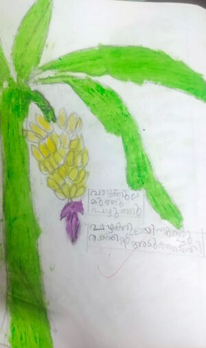 17530 KKD DEVIKA.K.jpg