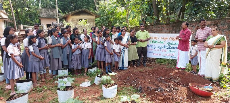 പ്രമാണം:17542-VEGETABLE FARMING 1.jpg