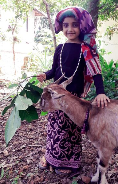 പ്രമാണം:18402 basheerdhinam 2021-22 16.jpg