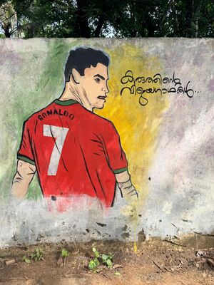 19062-MLP-GOAL2026-RONALDOPAINTING.jpg
