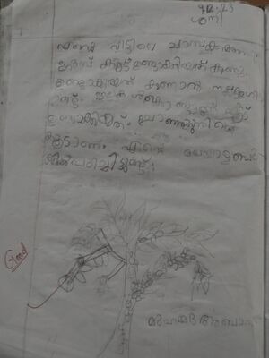 19433-MLP-KUNJ-MUHAMMED ABAN K.jpg