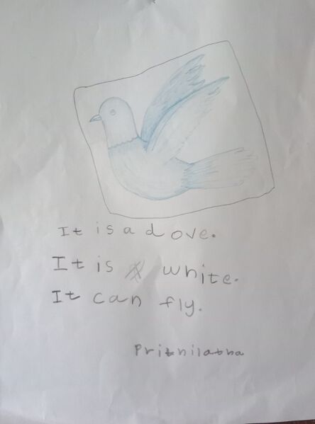 പ്രമാണം:19820-MLP-KUNJ-PRITHILATHA PRABASH.jpg