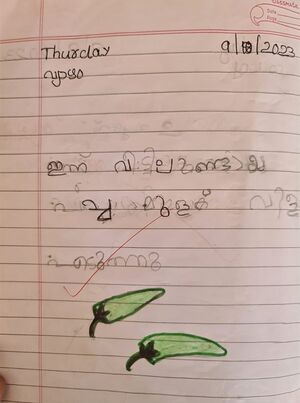 23443-TSR-KUNJ-SREEHARI PS.jpeg